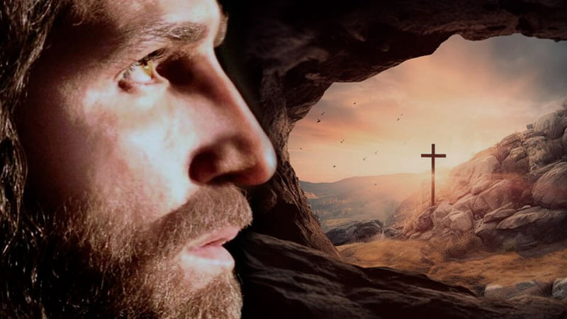 Haga clic en la imagen para ver una versión más grande

Nombre:	Portada-Lunes.jpg
Visitas:	890
Size:	82,2 KB
ID:	681